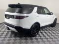 2023 Discovery P360 S R-Dynamic #2