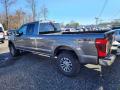  2021 Ford F250 Super Duty Carbonized Gray #6