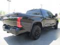 2022 Tundra TRD Pro Crew Cab 4x4 Hybrid #10 2022 Tundra TRD Pro Crew Cab 4x4 Hybrid #10