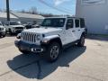 2023 Wrangler Unlimited Sahara 4x4 #7
