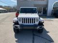 2023 Wrangler Unlimited Sahara 4x4 #10