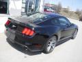 2015 Mustang EcoBoost Premium Coupe #9