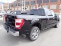 2023 Ford F150 Agate Black Metallic #7 2023 Ford F150 Agate Black Metallic #7