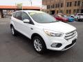 2019 Escape SE 4WD #2 2019 Escape SE 4WD #2