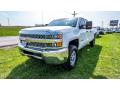 Front 3/4 View of 2019 Chevrolet Silverado 2500HD Work Truck Double Cab 4WD #8