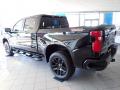 2023 Silverado 1500 LT Trail Boss Crew Cab 4x4 #6 2023 Silverado 1500 LT Trail Boss Crew Cab 4x4 #6