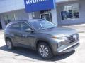 2022 Hyundai Tucson Blue Hybrid AWD