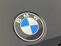  2023 BMW X4 M Logo #5