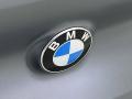  2023 BMW 8 Series Logo #7