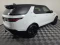 2023 Discovery P300 S R-Dynamic #2