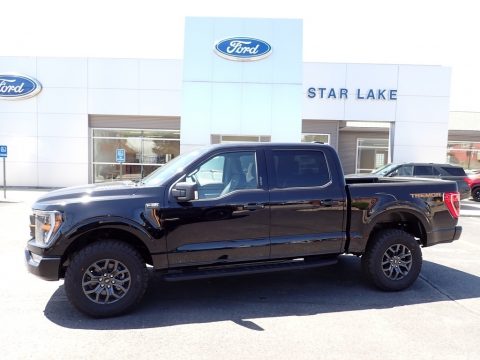 Agate Black Metallic Ford F150 Tremor SuperCrew 4x4.  Click to enlarge.