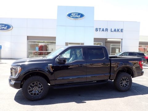 Agate Black Metallic Ford F150 Tremor SuperCrew 4x4.  Click to enlarge.