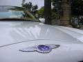  1999 Bentley Azure Logo #7