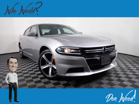 Billet Metallic Dodge Charger SE.  Click to enlarge.