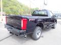 2023 F350 Super Duty XL Regular Cab 4x4 #8