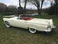  1956 Ford Thunderbird Colonial White #9