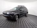 2019 Cherokee Trailhawk 4x4 #7