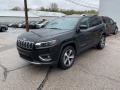 2020 Cherokee Limited 4x4 #7