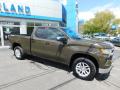 Front 3/4 View of 2023 Chevrolet Silverado 1500 LT Double Cab 4x4 #2