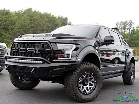 Agate Black Ford F150 Shelby Baja Raptor SuperCrew 4x4.  Click to enlarge.