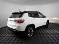 2019 Compass Limited 4x4 #11 2019 Compass Limited 4x4 #11