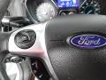 2013 Focus SE Sedan #14