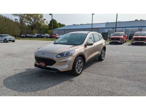 Desert Gold Metallic Ford Escape SEL 4WD. Click to enlarge. Desert Gold Metallic Ford Escape SEL 4WD. Click to enlarge.