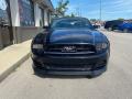 2014 Mustang V6 Convertible #4