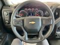  2024 Chevrolet Silverado 2500HD Custom Crew Cab 4x4 Steering Wheel #17