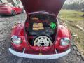  1974 Volkswagen Beetle Trunk #11