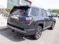 2023 4Runner Limited 4x4 #18