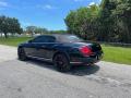 2011 Continental GTC Speed 80-11 Edition #10