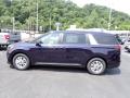  2024 Kia Carnival Deep Chroma Blue #5