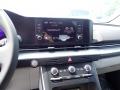 Controls of 2024 Kia Carnival LX #17