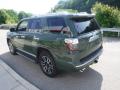 2022 4Runner Limited 4x4 #17