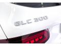 2020 GLC 300 #31