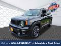 2020 Renegade Limited 4x4 #1