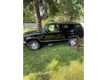  1994 Chevrolet Blazer Black #1