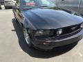 2005 Mustang GT Premium Coupe #3