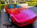 1991 Corvette Coupe #19