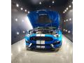 2019 Mustang Shelby GT350R #2