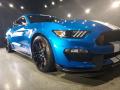 2019 Mustang Shelby GT350R #9