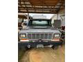  1979 Ford F350 Silver Metallic #11