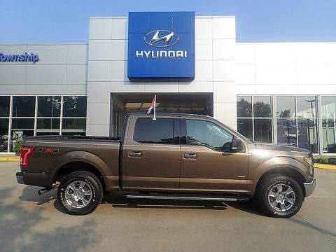 Caribou Ford F150 XLT SuperCrew 4x4.  Click to enlarge.