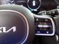 2023 Kia Carnival SX Prestige Steering Wheel #21 2023 Kia Carnival SX Prestige Steering Wheel #21