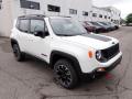 Front 3/4 View of 2023 Jeep Renegade Trailhawk 4x4 #7