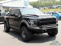 2019 F150 Shelby BAJA Raptor SuperCrew 4x4 #7