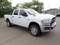 2023 2500 Tradesman Crew Cab 4x4 #7