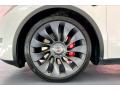  2020 Tesla Model Y Long Range Wheel #8