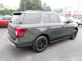  2022 Ford Expedition Forged Green Metallic #5